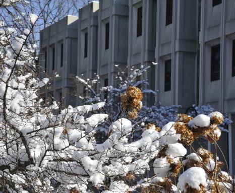 Canaday Library in the snow.